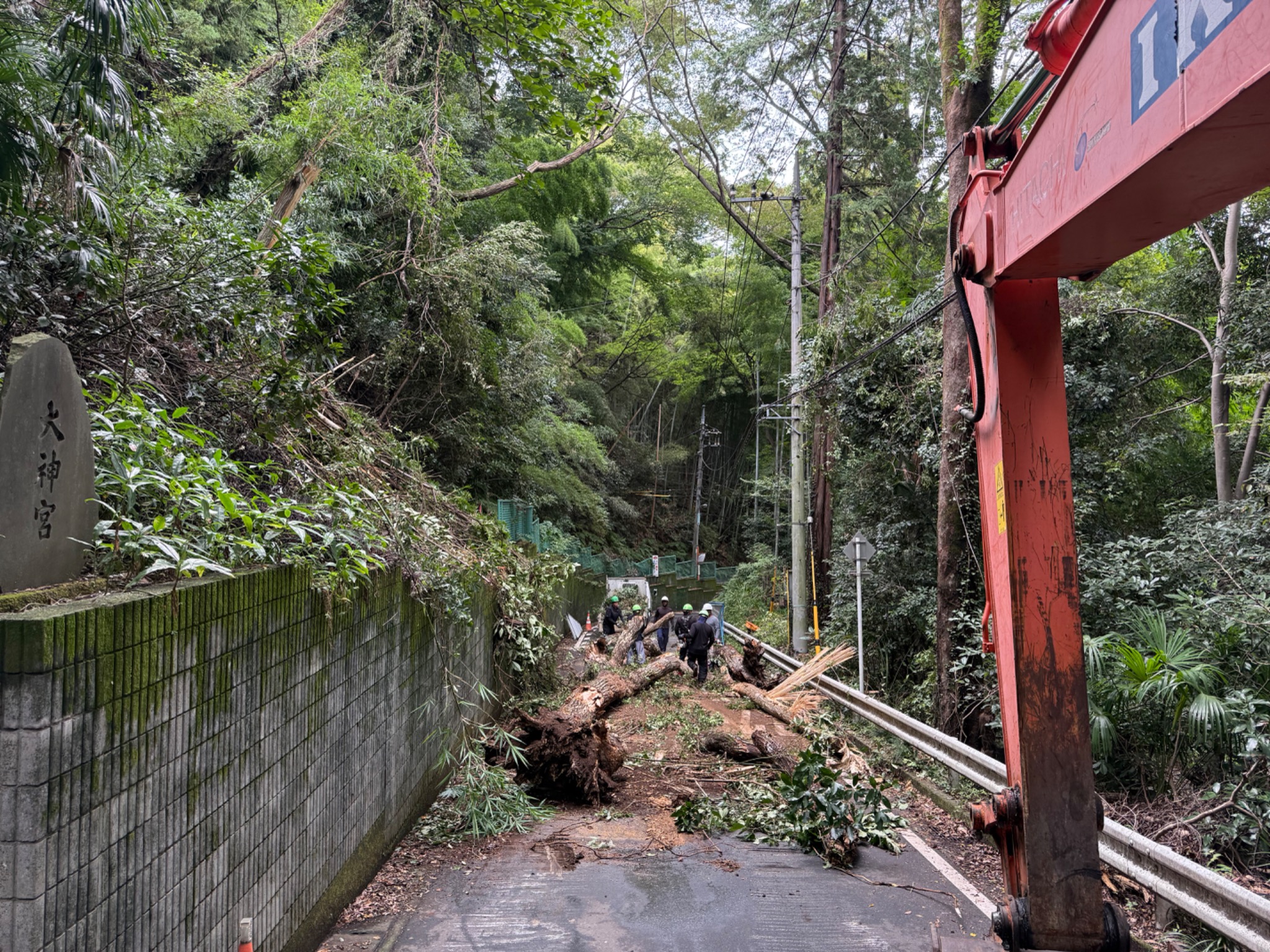 道路上の倒木を作業員が処理している現場の様子